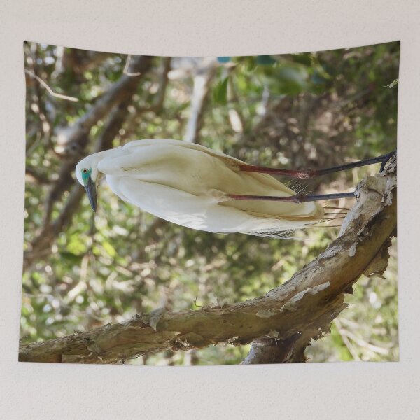 Item preview, Egret with plumage  designed and sold by Mark Grimsley.