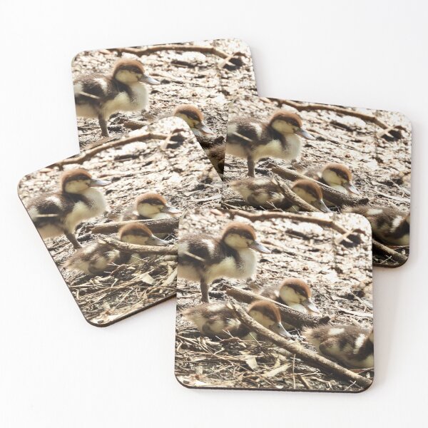 Item preview, Radjah Shelduck ducklings  designed and sold by Mark Grimsley.