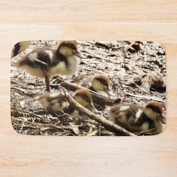 Item preview, Radjah Shelduck ducklings  designed and sold by Mark Grimsley.