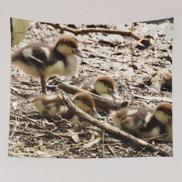 Item preview, Radjah Shelduck ducklings  designed and sold by Mark Grimsley.