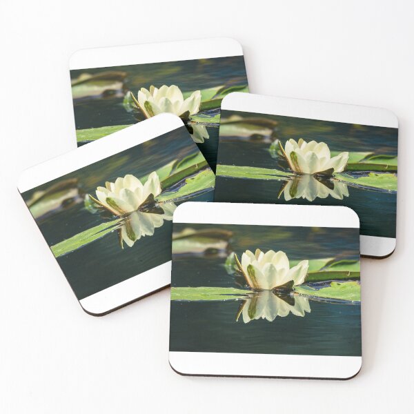 Item preview, Water Lily  designed and sold by Mothboybrown.