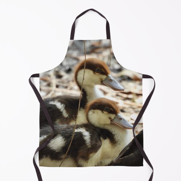 Item preview, Radjah Shelduck ducklings exploring the world designed and sold by Mark Grimsley.