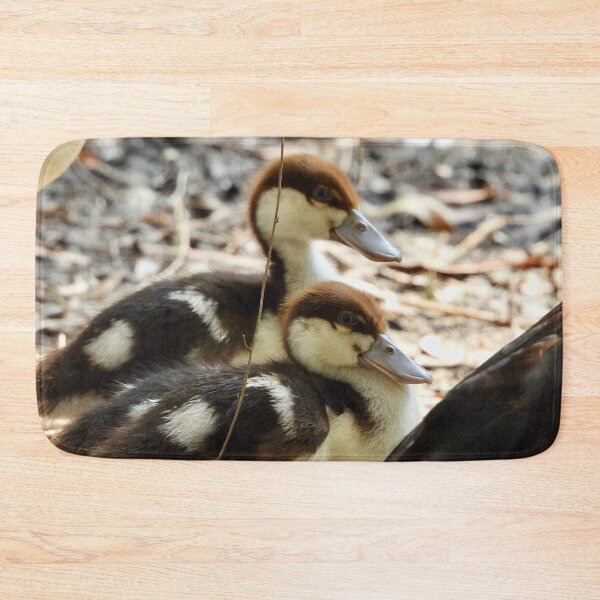 Item preview, Radjah Shelduck ducklings exploring the world designed and sold by Mark Grimsley.