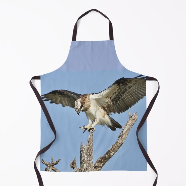 Item preview, Young Osprey on the lookout for Breakfast designed and sold by Mark Grimsley.