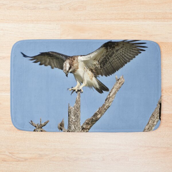 Item preview, Young Osprey on the lookout for Breakfast designed and sold by Mark Grimsley.