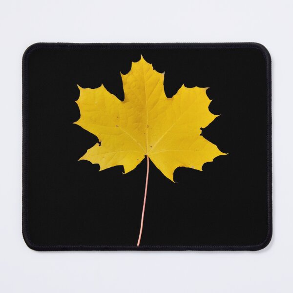 Item preview, Autumn golden maple leaf designed and sold by Project4X.