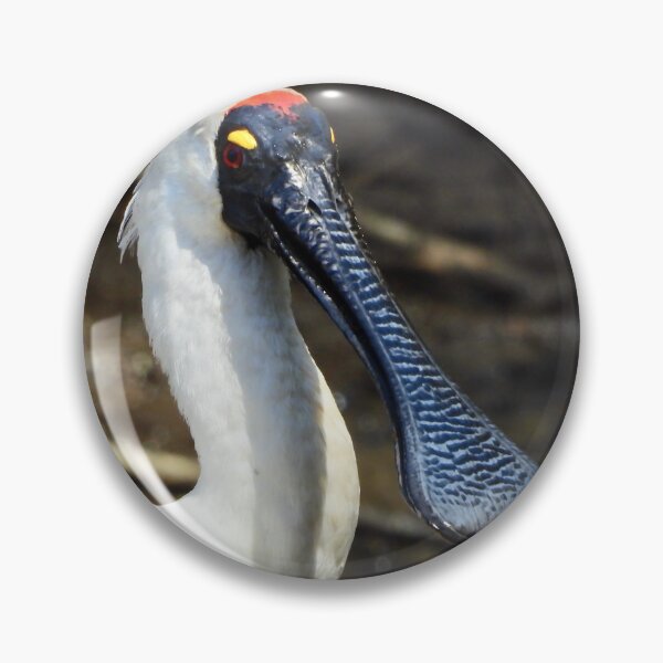 Item preview, Royal Spoonbill looks chilled designed and sold by Mark Grimsley.