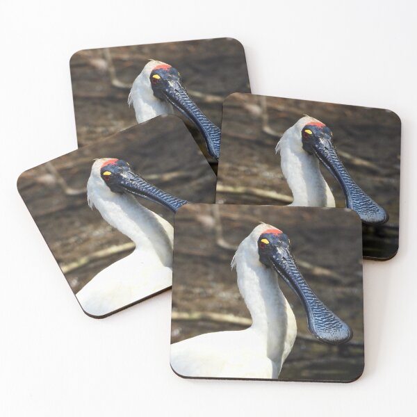 Item preview, Royal Spoonbill looks chilled designed and sold by Mark Grimsley.