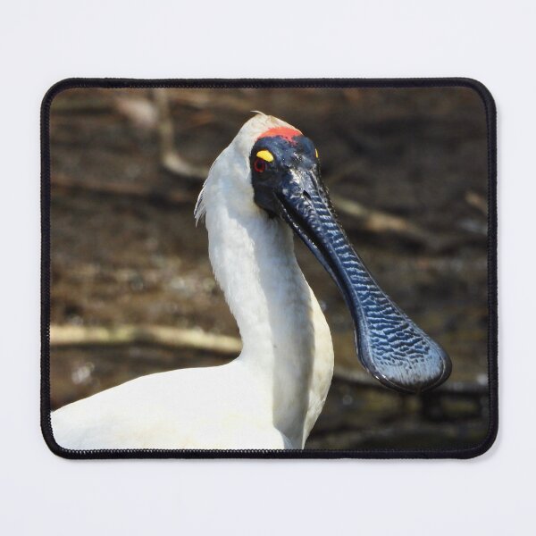 Item preview, Royal Spoonbill looks chilled designed and sold by Mark Grimsley.