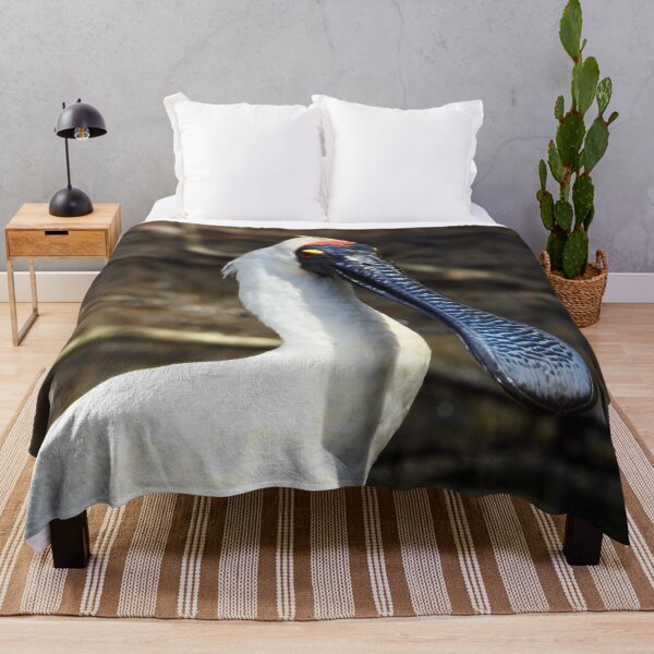 Item preview, Royal Spoonbill looks chilled designed and sold by Mark Grimsley.