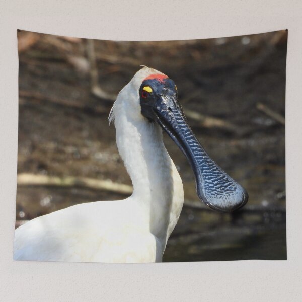Item preview, Royal Spoonbill looks chilled designed and sold by Mark Grimsley.