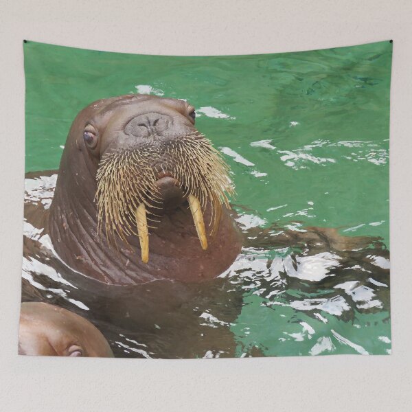Item preview, Walrus Whiskers designed and sold by Linda Walsh.