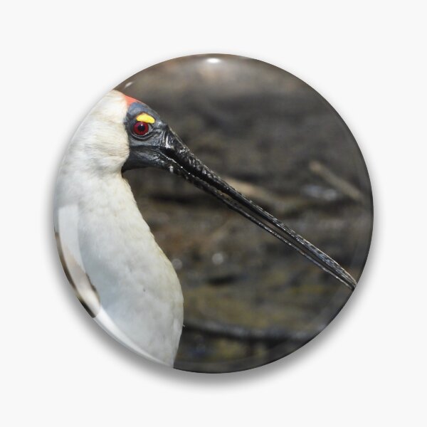 Item preview, Royal Spoonbill side on  designed and sold by Mark Grimsley.