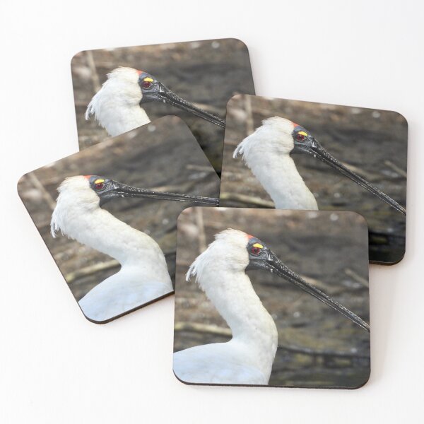 Item preview, Royal Spoonbill side on  designed and sold by Mark Grimsley.