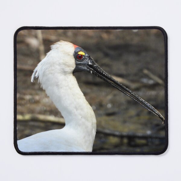 Item preview, Royal Spoonbill side on  designed and sold by Mark Grimsley.