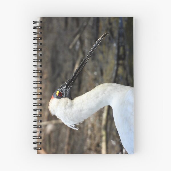 Item preview, Royal Spoonbill side on  designed and sold by Mark Grimsley.