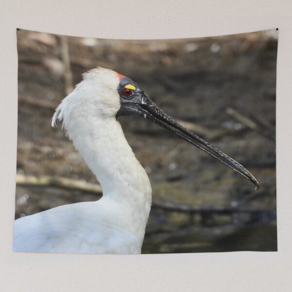 Item preview, Royal Spoonbill side on  designed and sold by Mark Grimsley.
