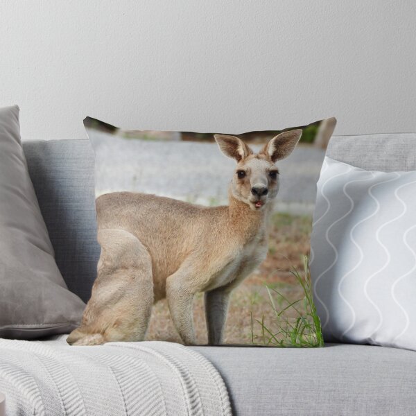 Item preview, Kangaroo Maning faces designed and sold by Mark Grimsley.