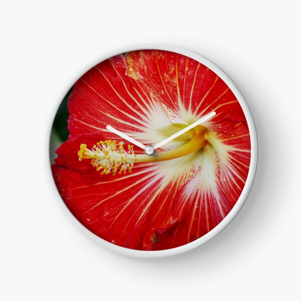 Artikel-Vorschau von Tropischer roter und weißer Hibiskus, designt und verkauft von jaynerushton.