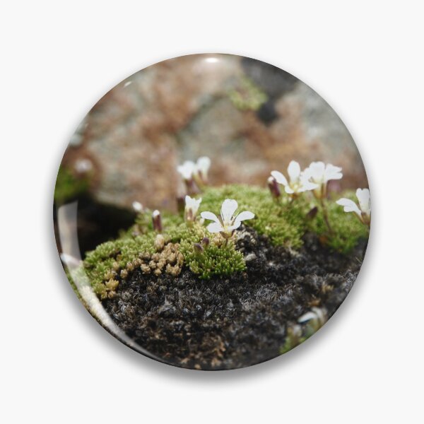 Item preview, Small Life designed and sold by frogsonsaturn.