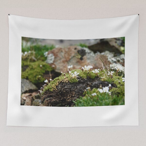 Item preview, Small Life designed and sold by frogsonsaturn.