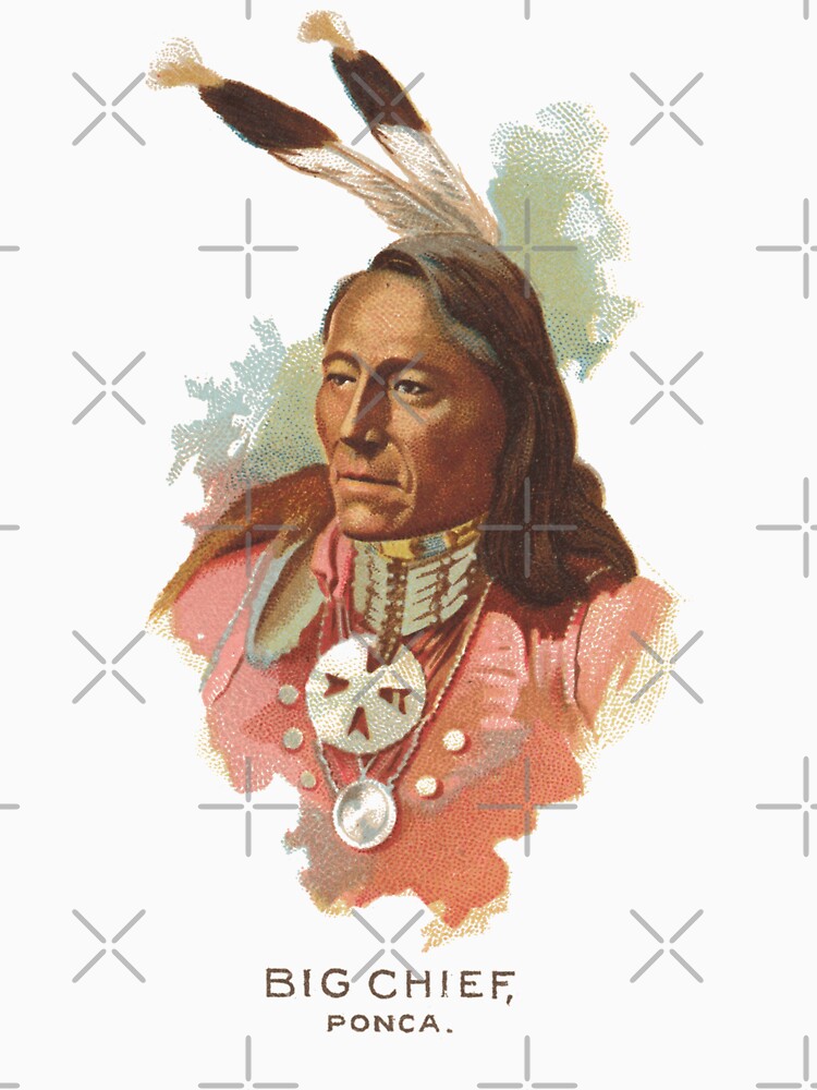 Native American Indian Chief Standing Bear Big Chief Ponca by thespottydogg