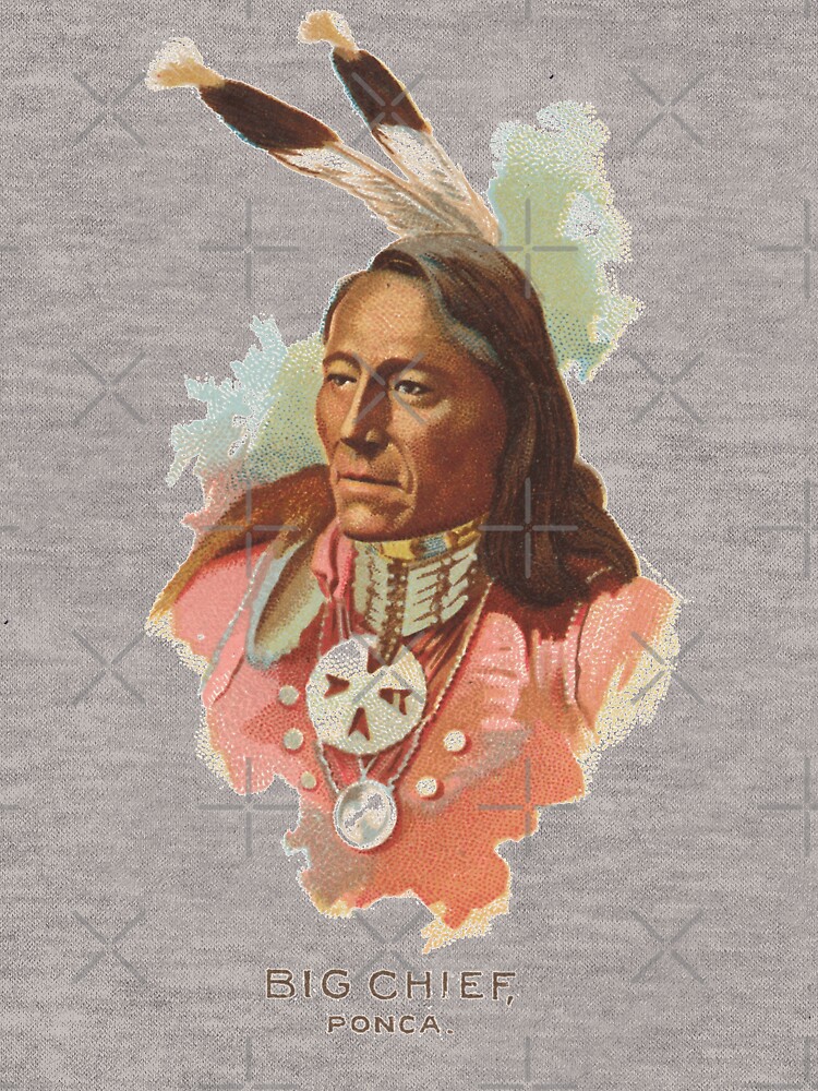 Native American Indian Chief Standing Bear Big Chief Ponca by thespottydogg