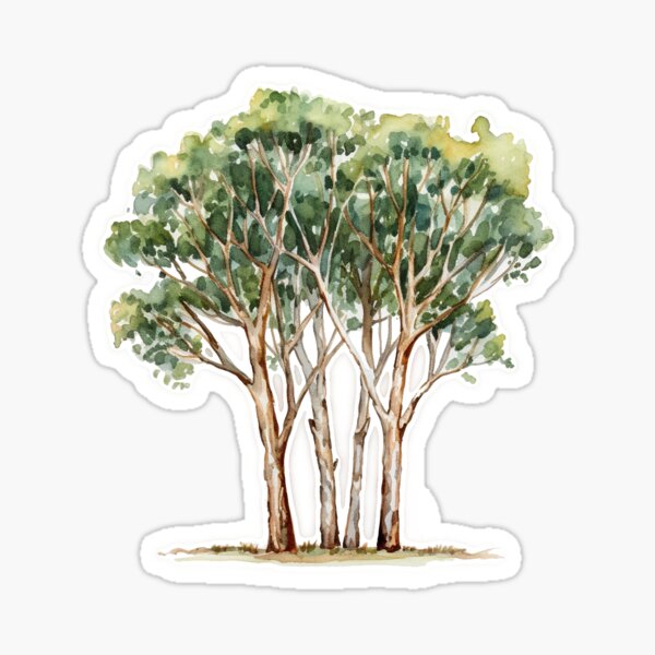 Item preview, Paperbark Eucalyptus Watercolour Tree Illustration designed and sold by AtelierNeo.