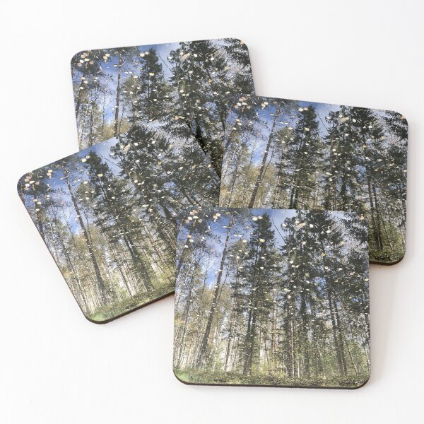 Item preview, tall trees of spruce and pine reflected in a small forest lake designed and sold by mrivserg.