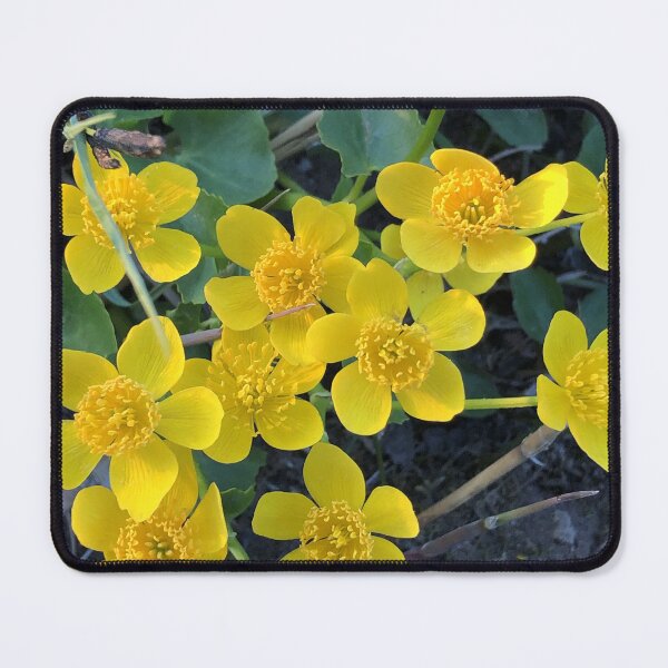 Item preview, bright yellow flowers primroses marsh marigold designed and sold by mrivserg.