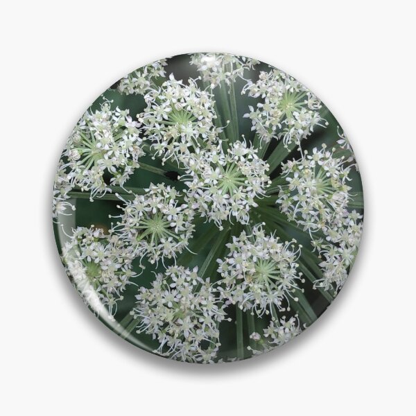 Item preview, spherical white flower inflorescences designed and sold by mrivserg.