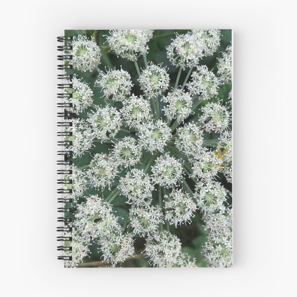 Item preview, spherical white flower inflorescences designed and sold by mrivserg.