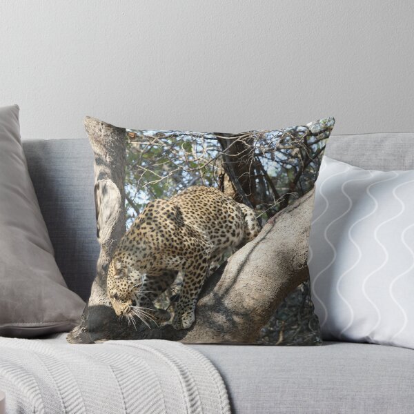Item preview, Leopard in tree looking down designed and sold by nymphalid.