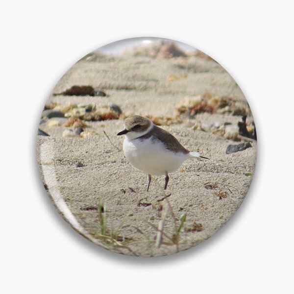 Item preview, Plover on Beach designed and sold by Linda Walsh.