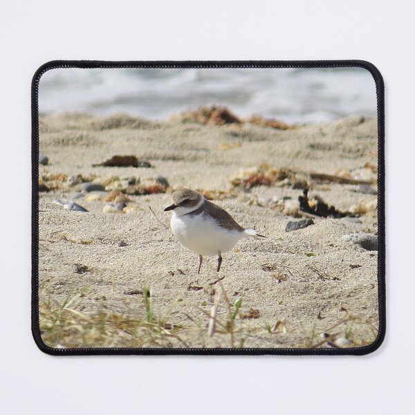 Item preview, Plover on Beach designed and sold by Linda Walsh.