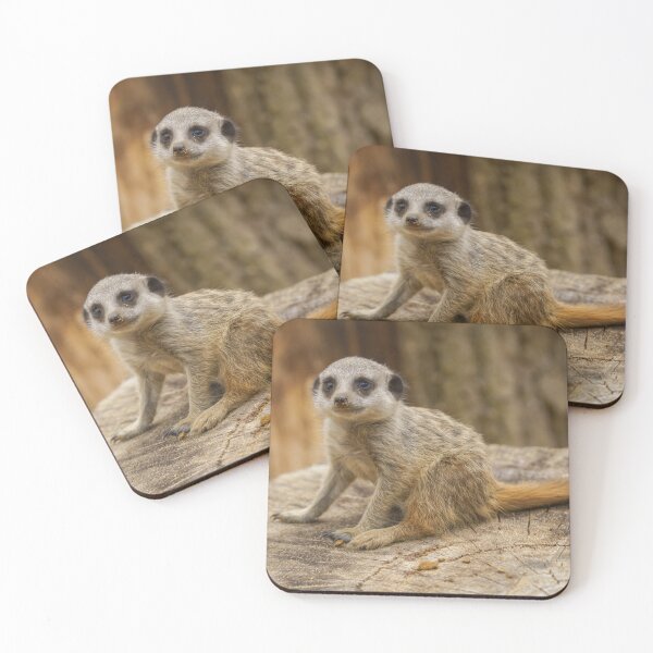 Item preview, Adorable Meerkat Baby designed and sold by rawshutterbug.