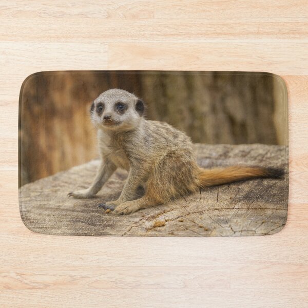 Item preview, Adorable Meerkat Baby designed and sold by rawshutterbug.