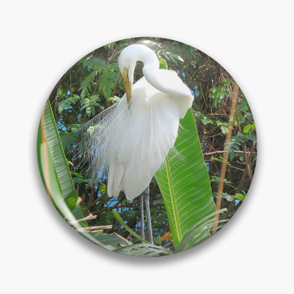 Item preview, Great Egret Preening designed and sold by Linda Walsh.