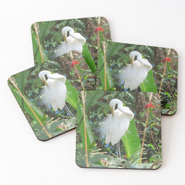 Item preview, Great Egret Preening designed and sold by Linda Walsh.