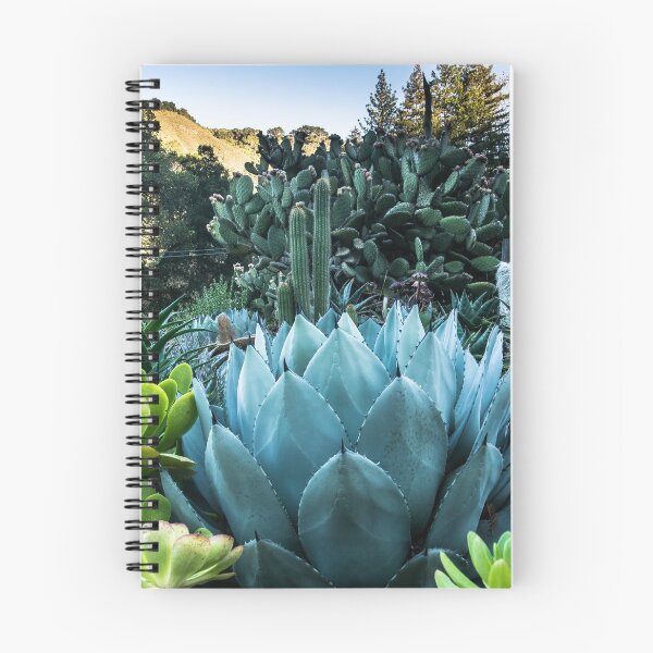 Item preview, Cactus Garden designed and sold by Tina Hailey.