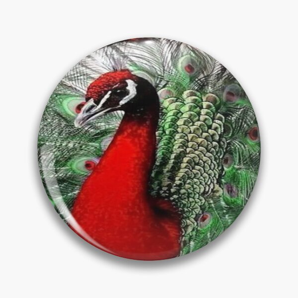 Item preview, RARE RED BELLY PEACOCK designed and sold by PIGCASSOSAIART.