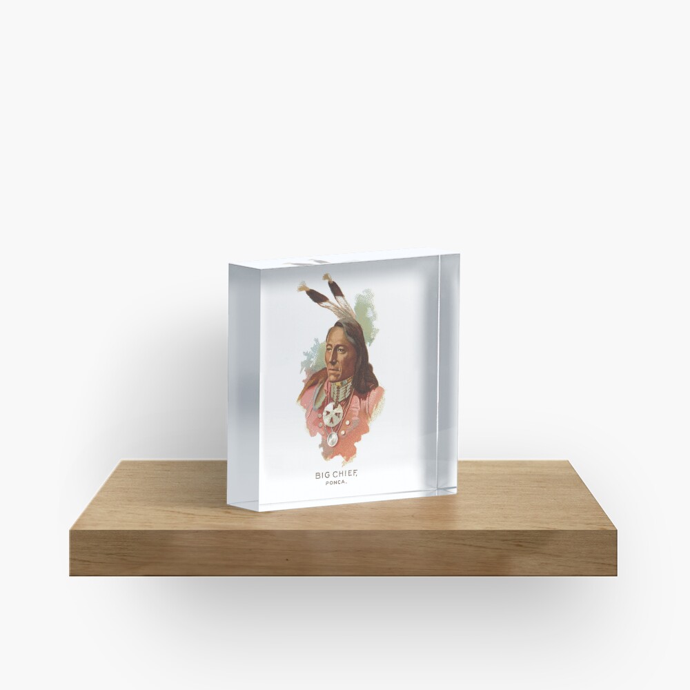 Native American Indian Chief Standing Bear Big Chief Ponca Acrylic Block