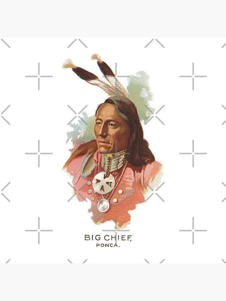 Native American Indian Chief Standing Bear Big Chief Ponca by thespottydogg