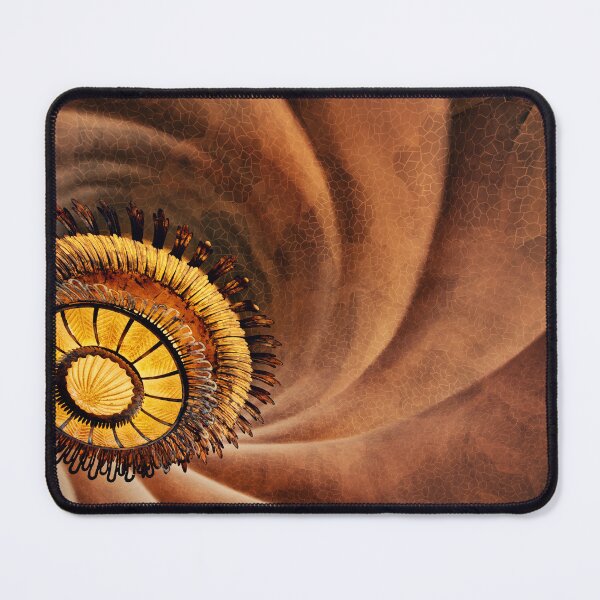 Item preview, Art Nouveau - Ceiling close-up designed and sold by Digital Sanctuary.