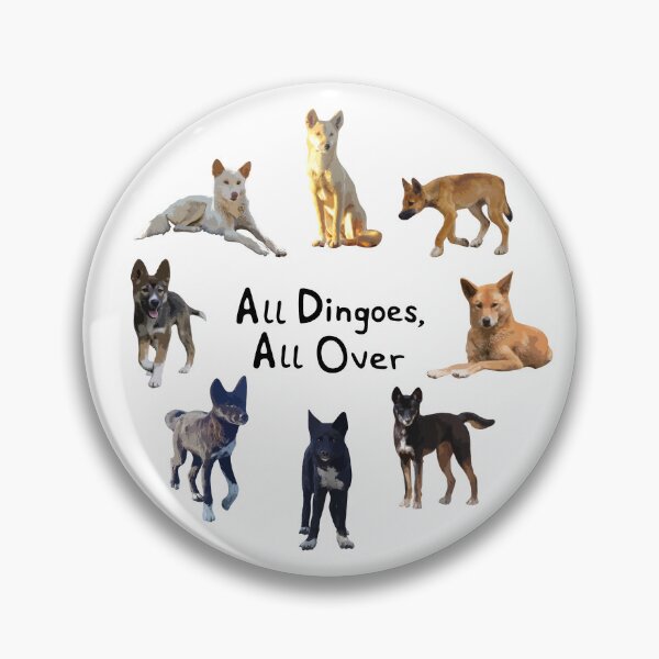 Item preview, All the colours of Australian dingoes designed and sold by Racheltmason.