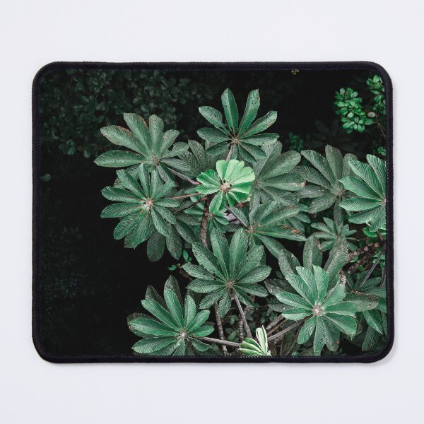 Item preview, Rainforest from above designed and sold by nabla47.