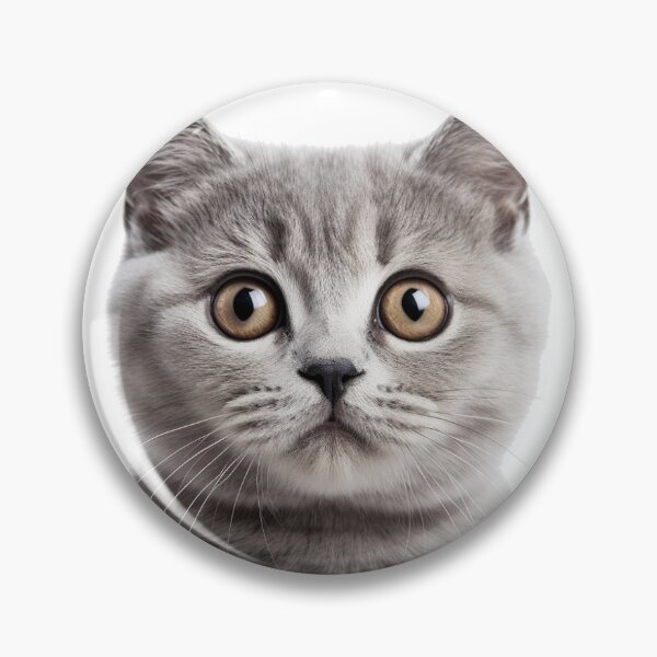 Item preview, Captivatingly Timid: Scared Cat Art on Redbubble designed and sold by Ignorant-Artist.