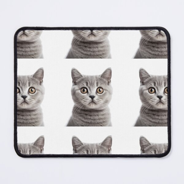 Item preview, Captivatingly Timid: Scared Cat Art on Redbubble designed and sold by Ignorant-Artist.
