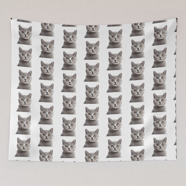 Item preview, Captivatingly Timid: Scared Cat Art on Redbubble designed and sold by Ignorant-Artist.