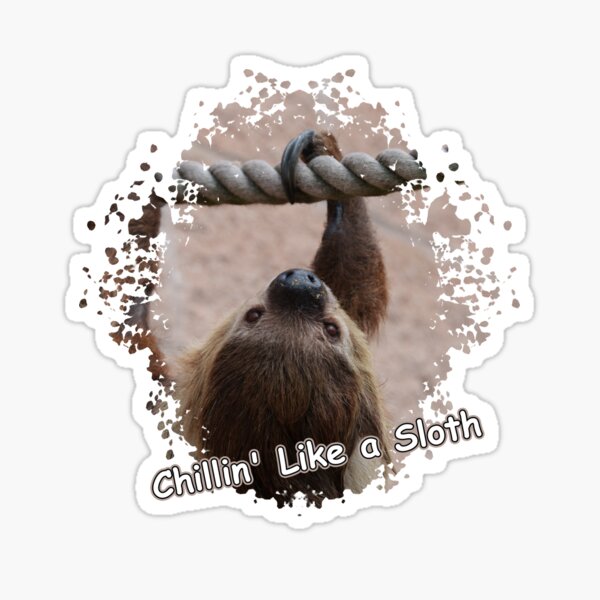 Item preview, Chillin' Like a Sloth designed and sold by rawshutterbug.